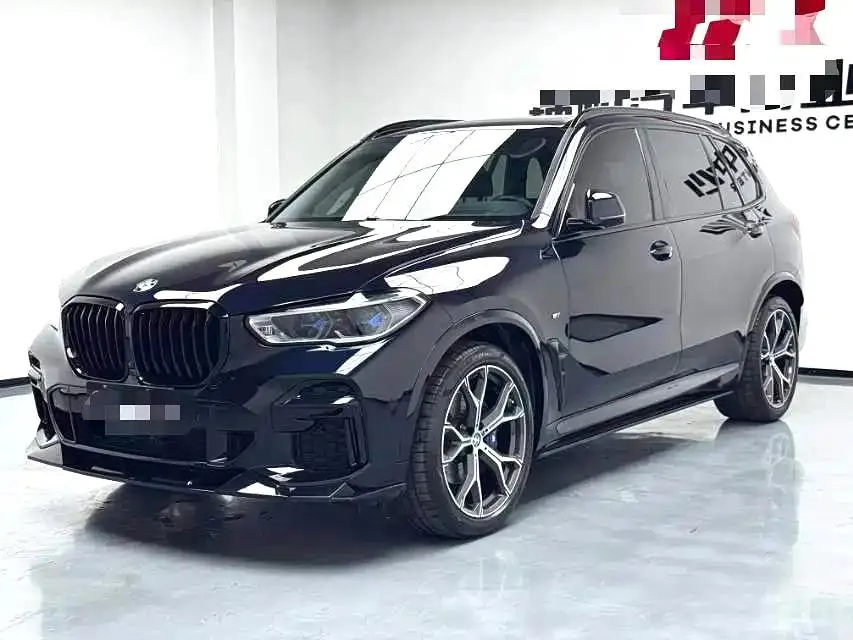 BMW BMW X5 — Blue