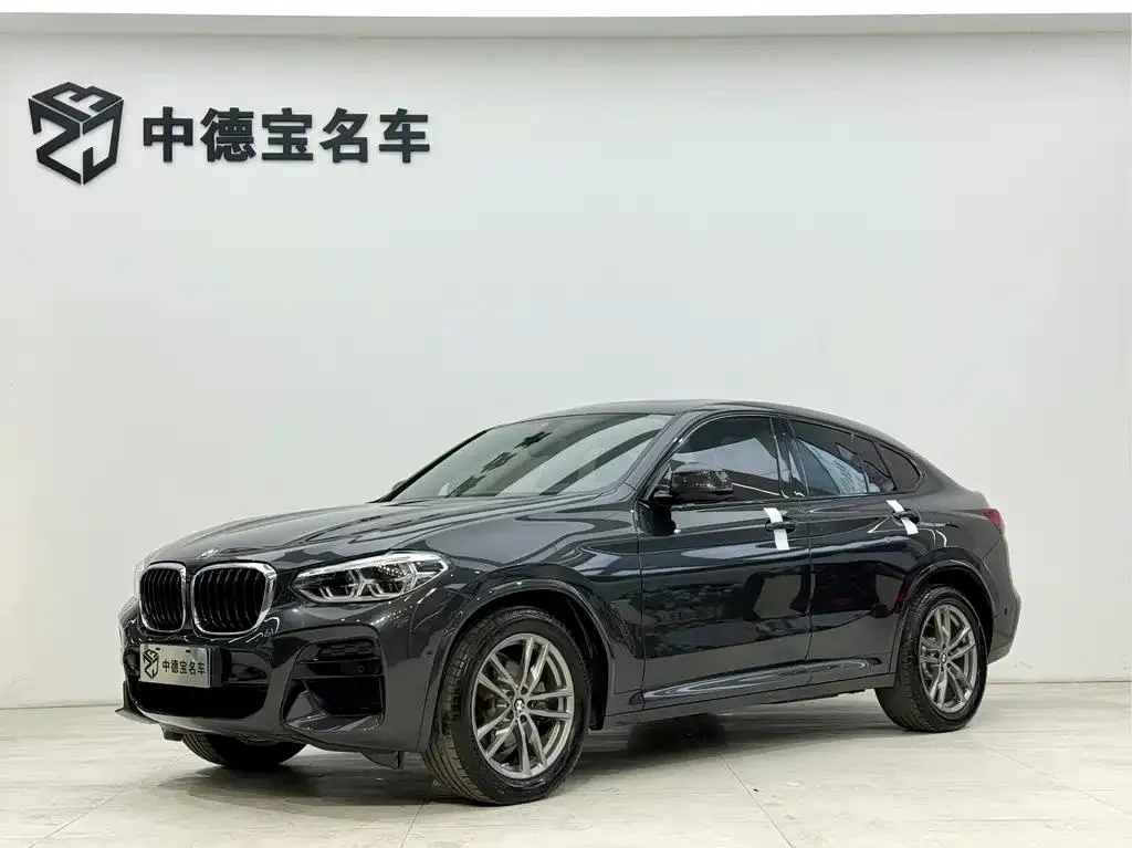 BMW BMW X4 — Champagne