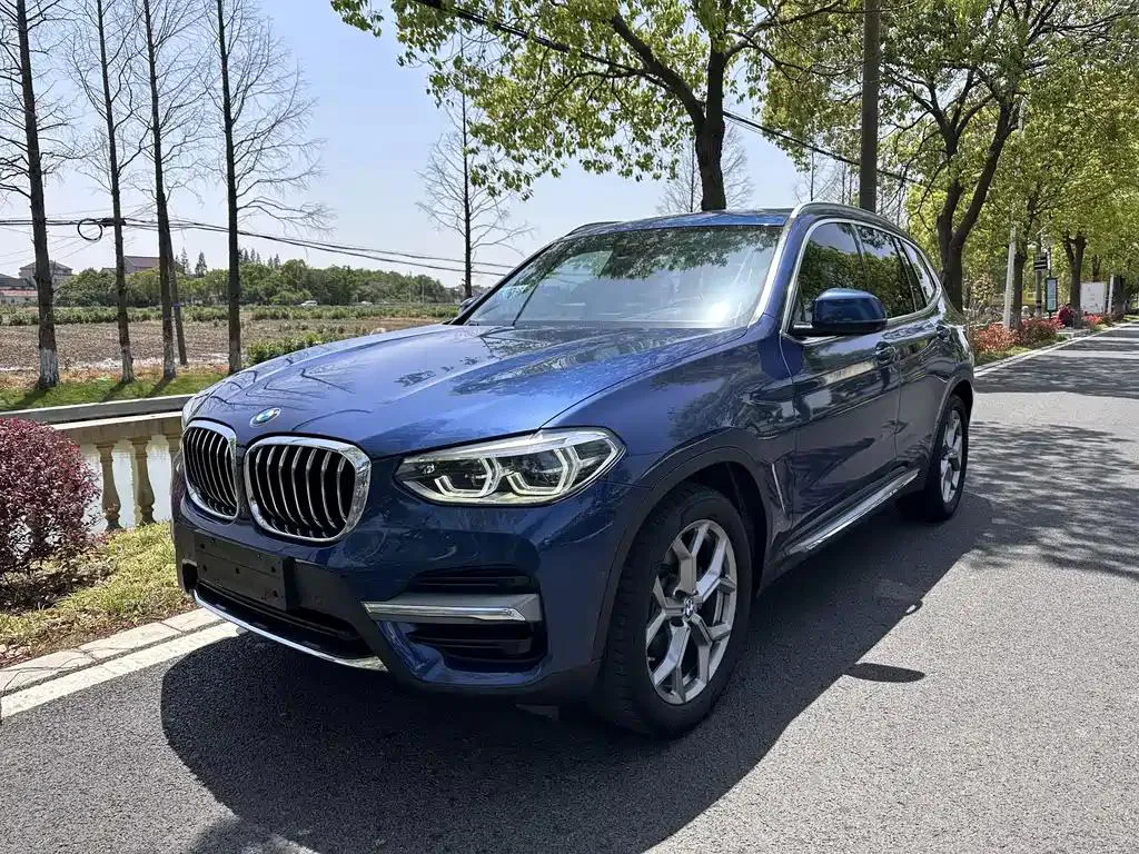 BMW BMW X3 — أزرق