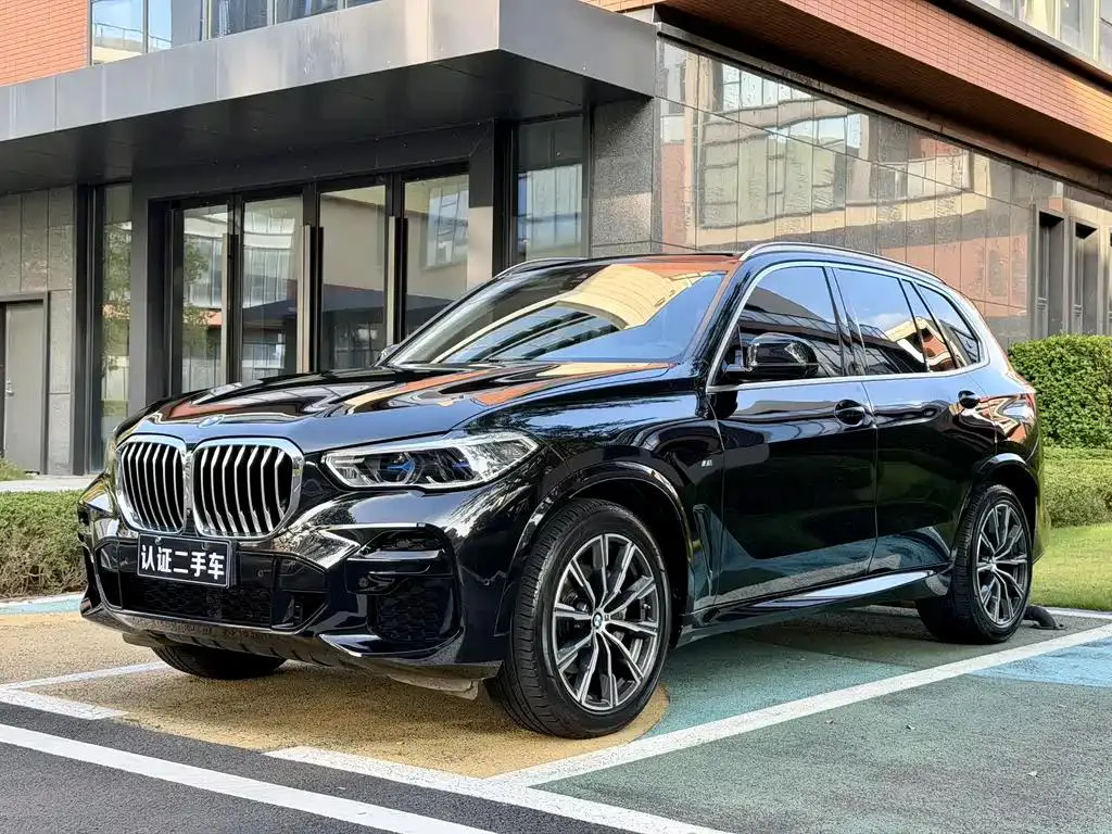 BMW BMW X5 — Black