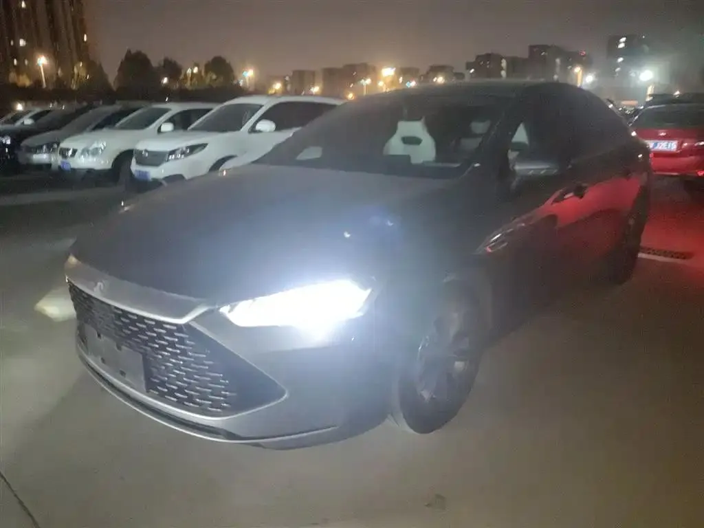 BYD Qin PLUS Qin PLUS 2024 Honor Edition DM-i 55KM Leading Edition — photo 1