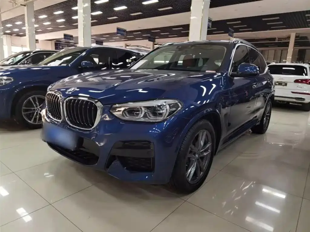 BMW BMW X3 — أزرق