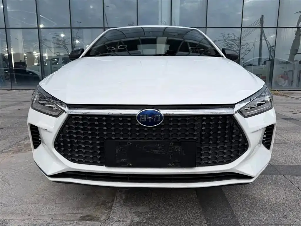 BYD e3 e3 2020 High-Endurance Edition Yao·Luxury Edition — photo 1