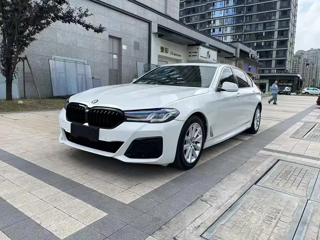 BMW 5 Series 5 Series 2013 530Li Leading Edition — photo 1