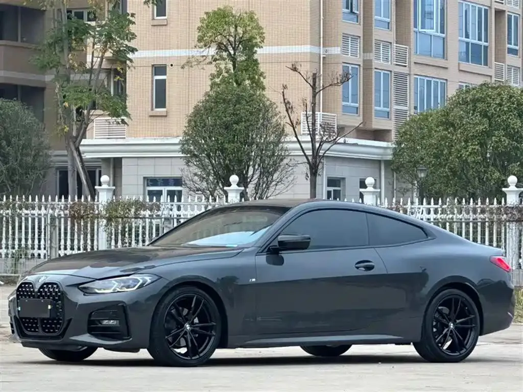 BMW BMW 4 Series — Silver / Gray