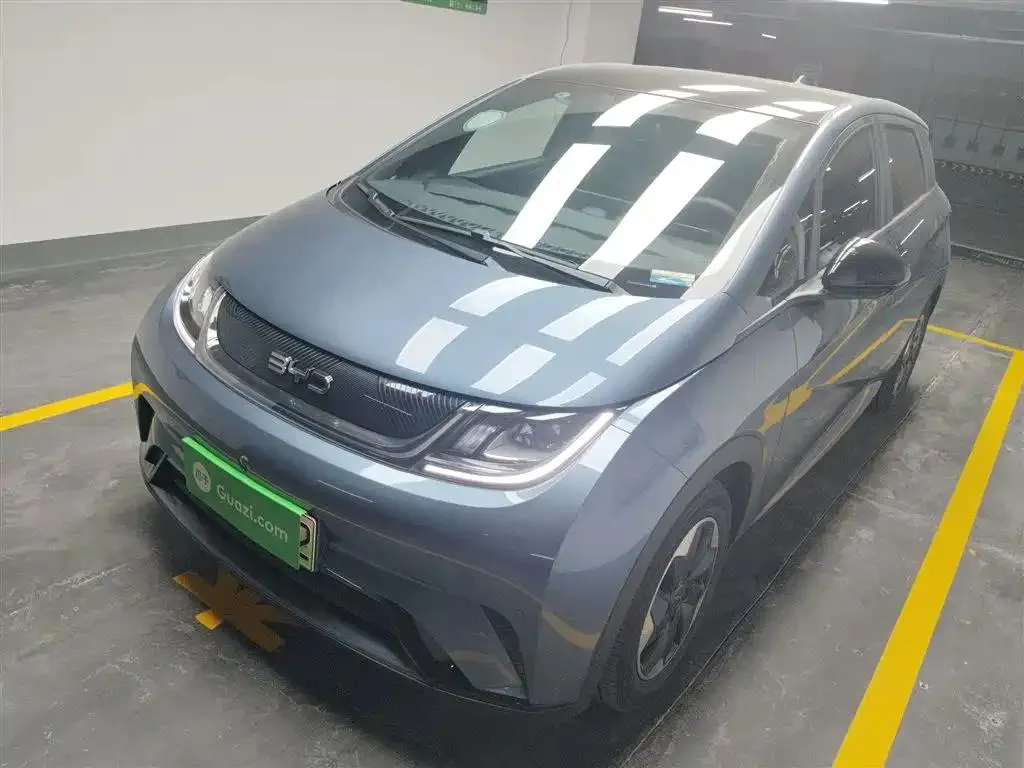 BYD Dolphin Dolphin 2024 Glory Edition 420km Fashion Edition — photo 1