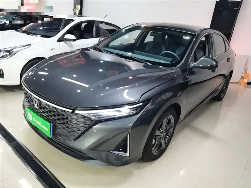 Changan Changan Raeton Plus — Argenté / Gris