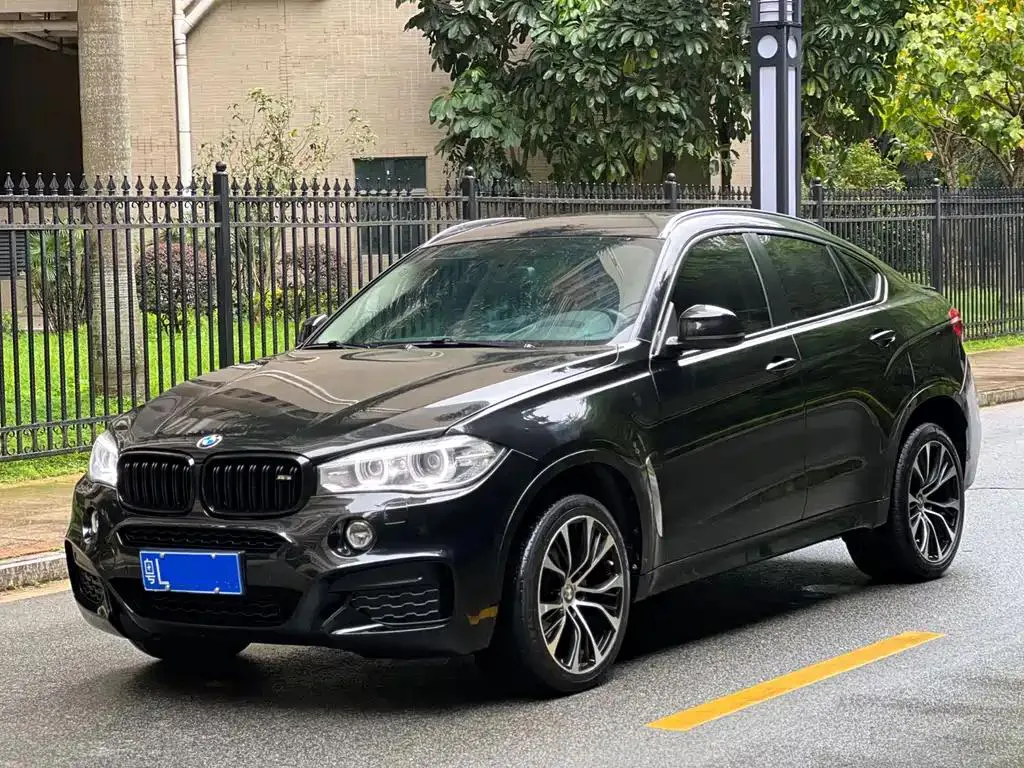 BMW X6 X6 2015 xDrive35i Luxury — photo 1