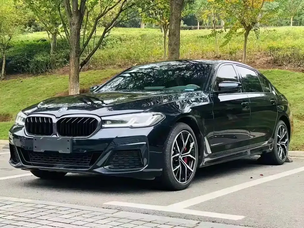BMW BMW 5 Series — Black