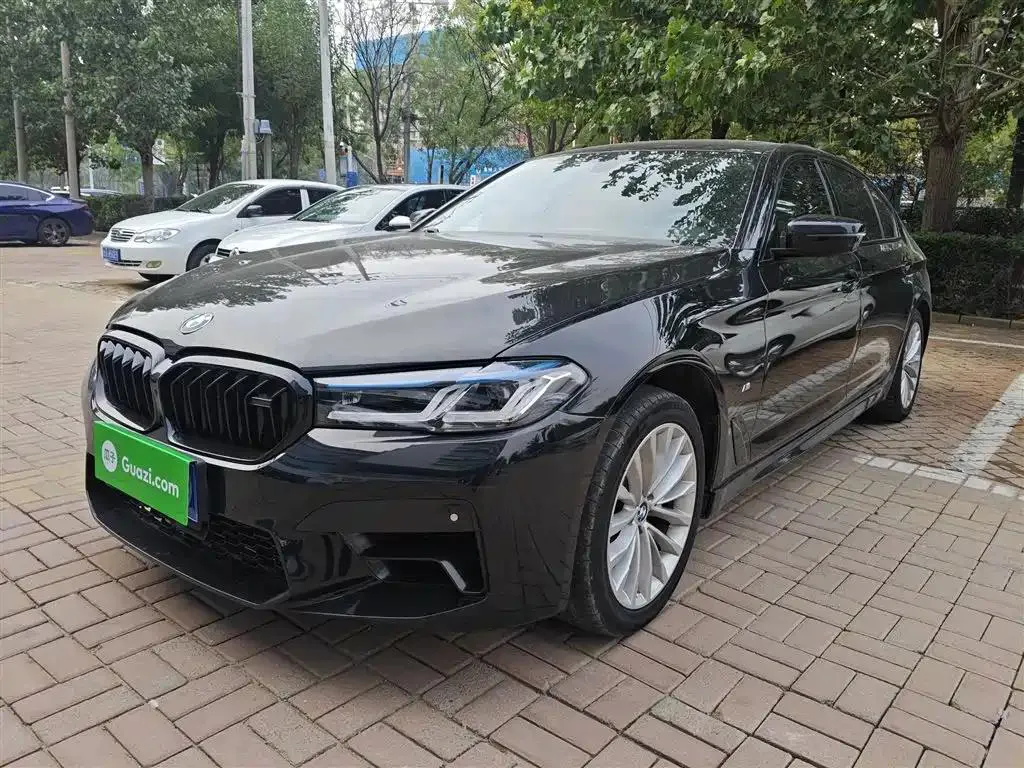 BMW BMW 5 Series — أسود