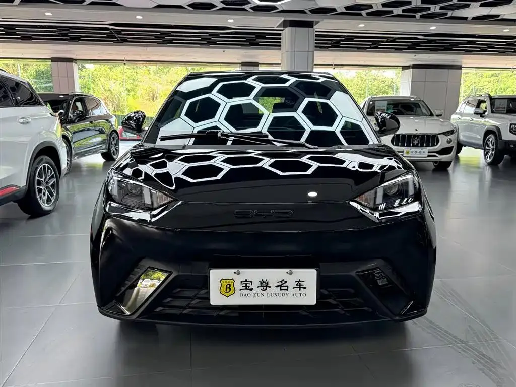 BYD Seagull Seagull 2023 Vitality Edition — photo 1