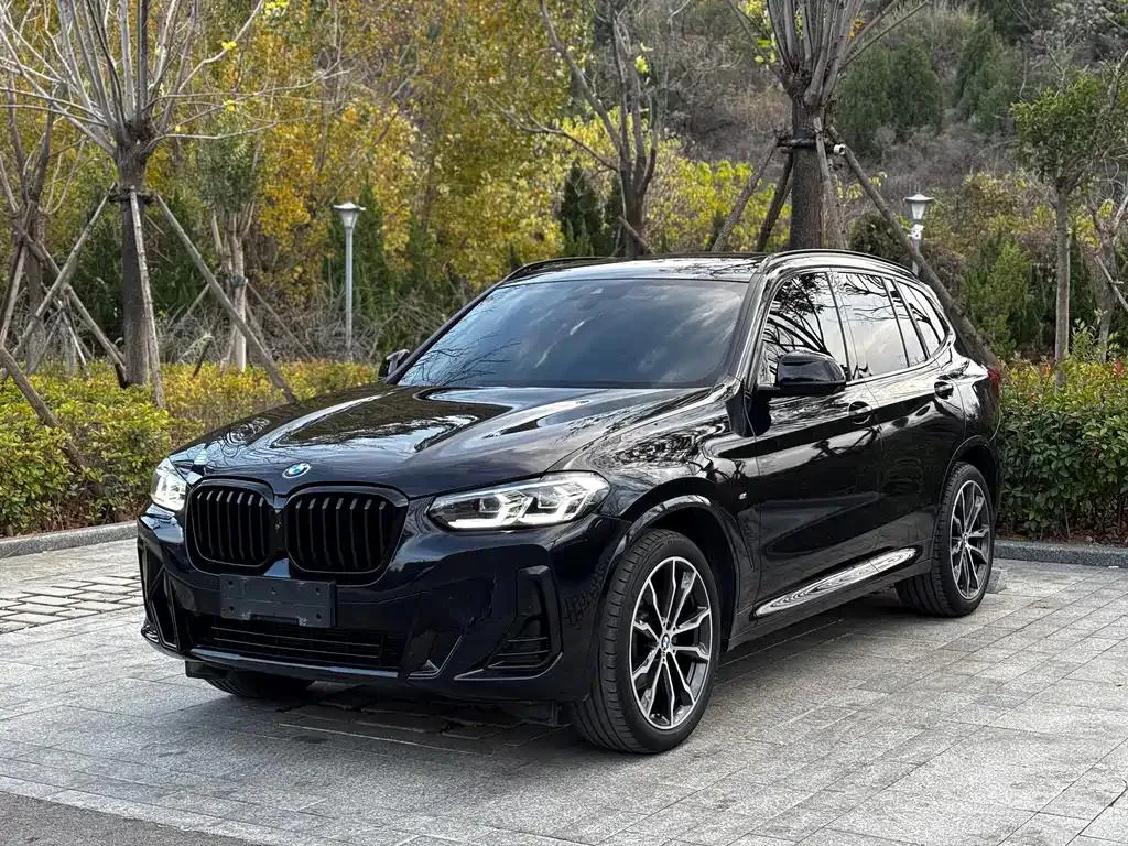 BMW BMW X3 — Negro