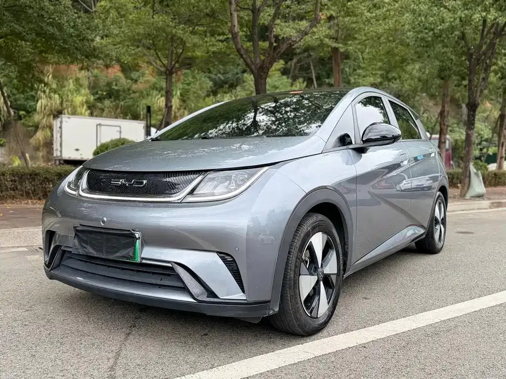 BYD BYD Dolphin — فضي / رمادي