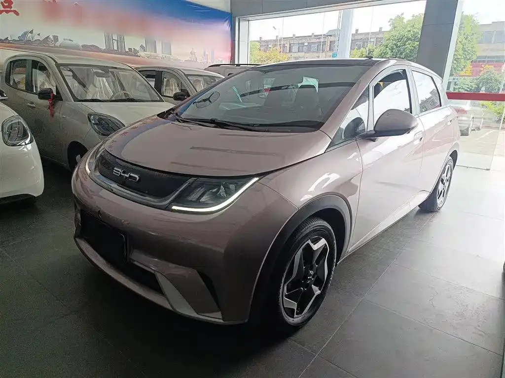 BYD BYD Dolphin — Rouge